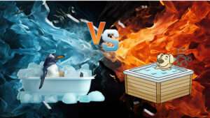 Jacuzzi- Cold Plunges Vs Hot Tubs - Your Perfect Soak