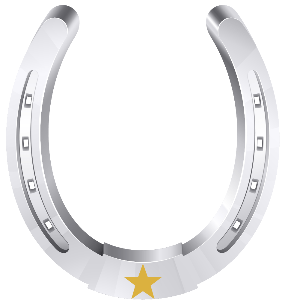 Horseshoe Bend Idaho