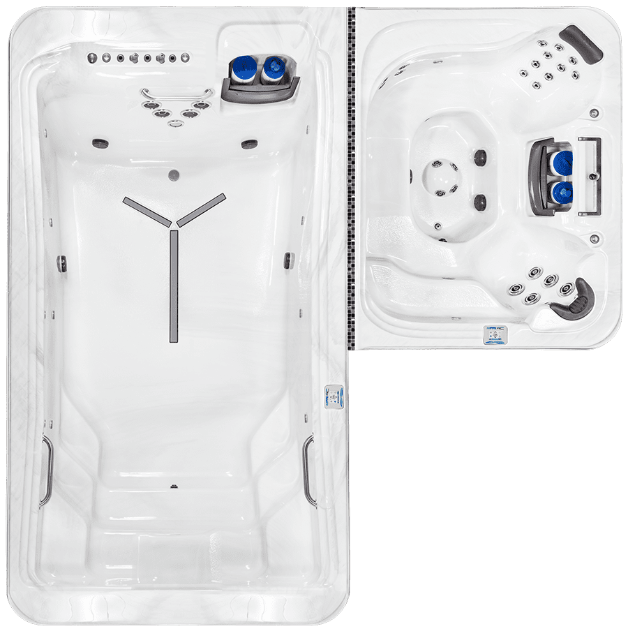 DTL-6