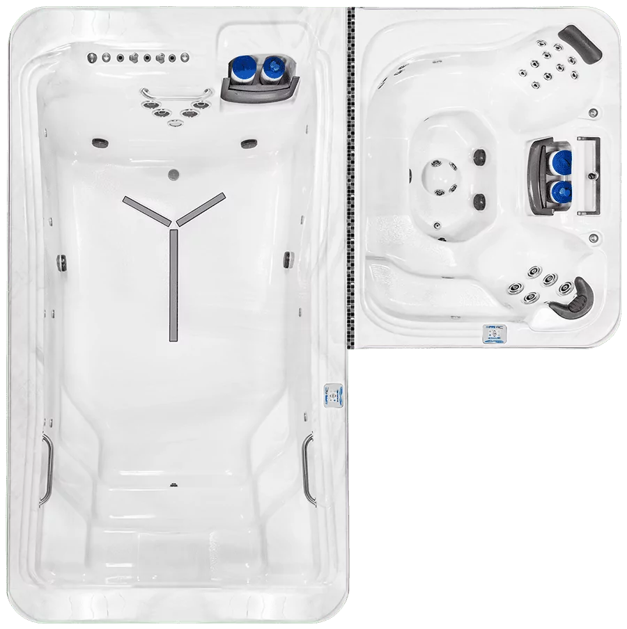 DTL-6